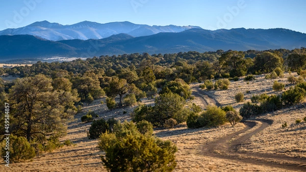 Obraz The road less traveled