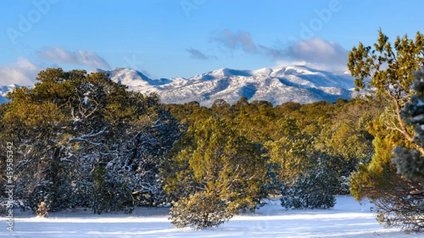 Obraz The Capitan Mountains after a blanket of snow
