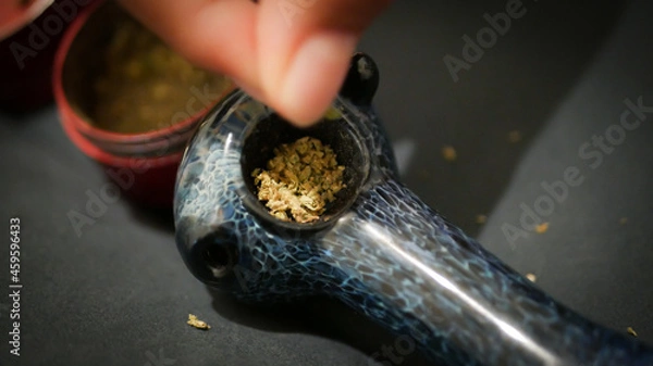 Obraz Fingers dropping cannabis