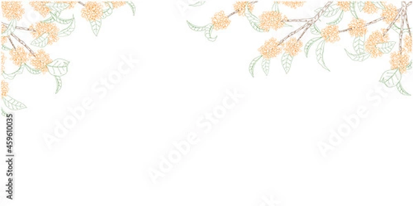 Obraz 金木犀の線画フレーム①横_上部_カラー