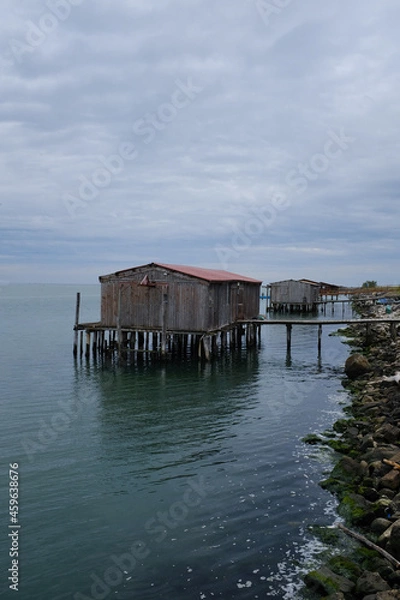 Obraz Sacca di scardovari