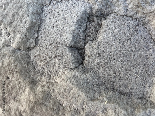 Obraz Struktur eines Terassensteins