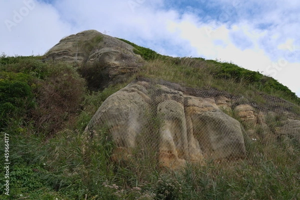 Obraz  A cliff overgrown with grass.