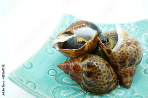 Obraz つぶ貝の煮付け