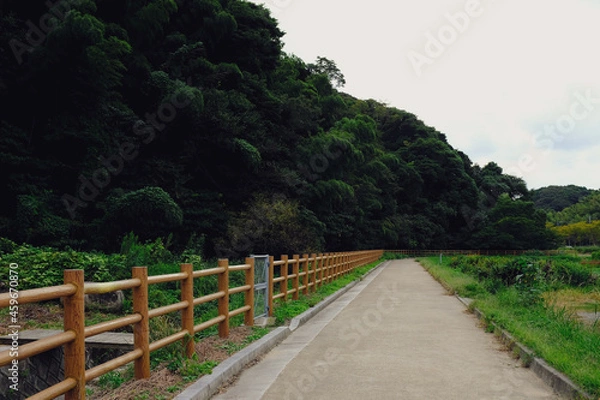 Fototapeta ウォーキング日和