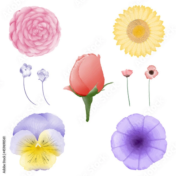 Obraz Watercolor hand drawn flower set vector
