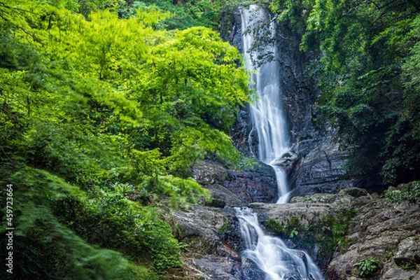 Fototapeta 菅生の滝（福岡県北九州市）