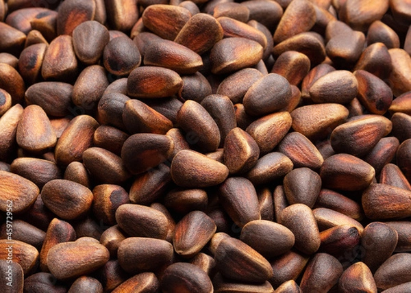 Obraz Pine nuts in shell. Texture, background. Top view, close up.