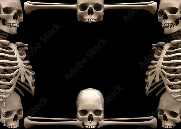 Obraz skeleton border 1