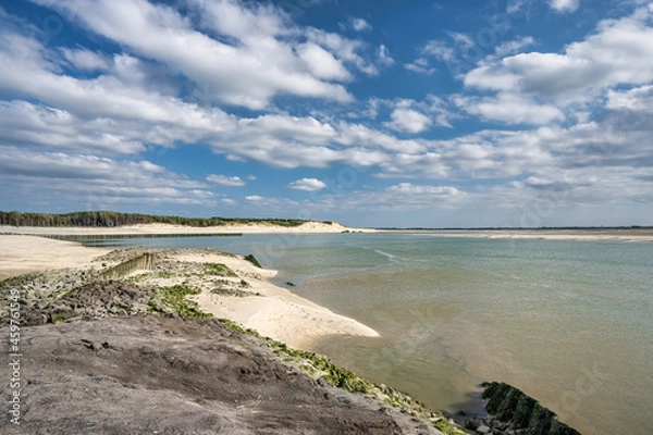 Fototapeta Vue sur la Baie d'Authie  et le bois de sapins / Berck  sur mer / Nord Pas de Calais