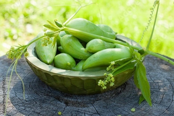 Fototapeta Achocha, Cyclanthera pedata healthy vegetables in wooden bowl on wooden log. Green nature background.