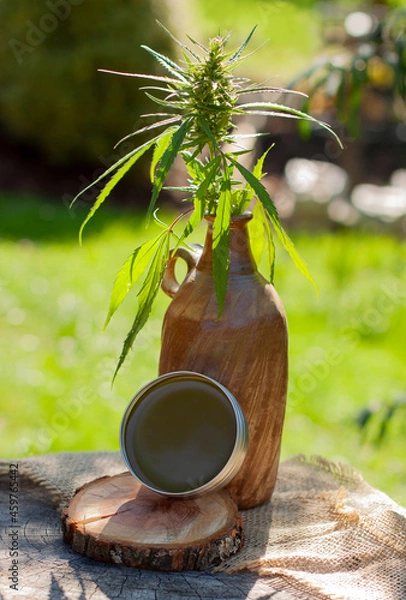 Fototapeta Cannabis green balm. Marijuana bud flower put in ceramic jar. Wooden log close up background.