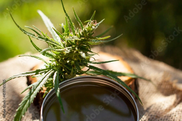 Obraz Cannabis green balm. Marijuana bud flower. Wooden log close up background.
Homemade hem