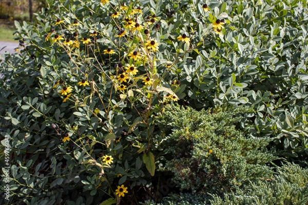 Fototapeta Outside in fall autumn in Vermont