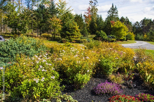 Fototapeta Outside in fall autumn in Vermont