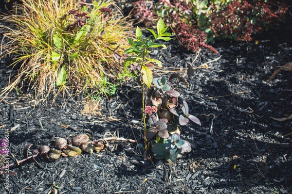 Fototapeta Outside in fall autumn in Vermont