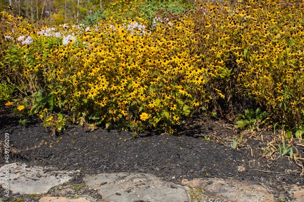 Fototapeta Outside in fall autumn in Vermont