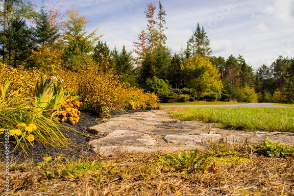 Fototapeta Outside in fall autumn in Vermont