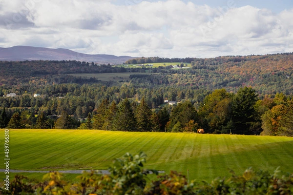 Fototapeta Outside in fall autumn in Vermont