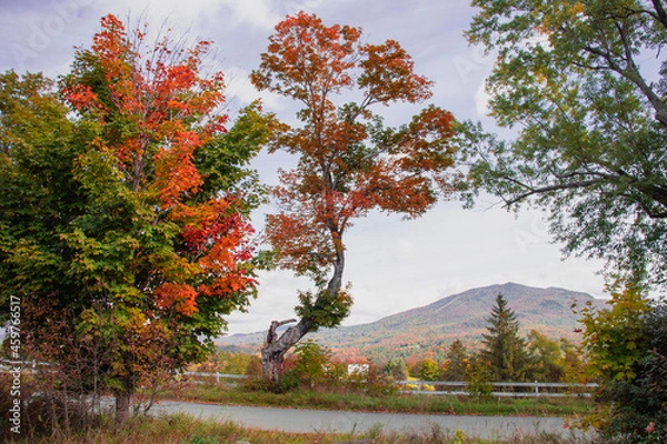 Fototapeta Outside in fall autumn in Vermont