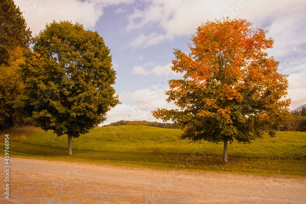 Fototapeta Outside in fall autumn in Vermont