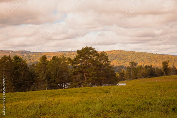 Fototapeta Outside in fall autumn in Vermont