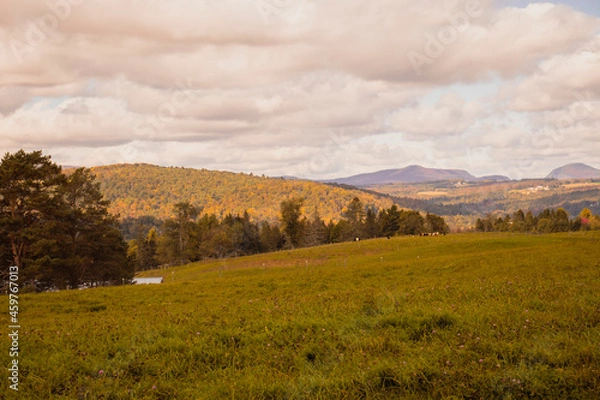 Fototapeta Outside in fall autumn in Vermont