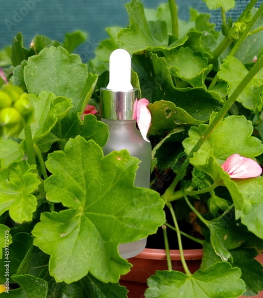 Obraz cosmetic flask