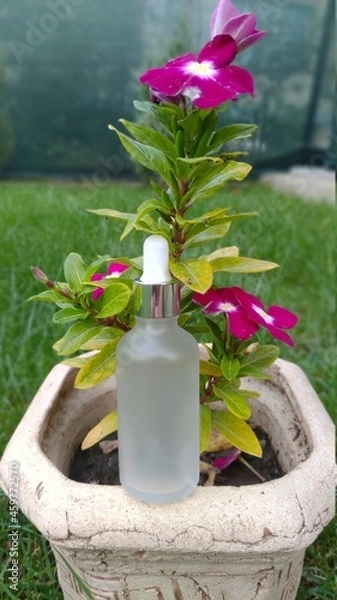 Obraz bottle for serum