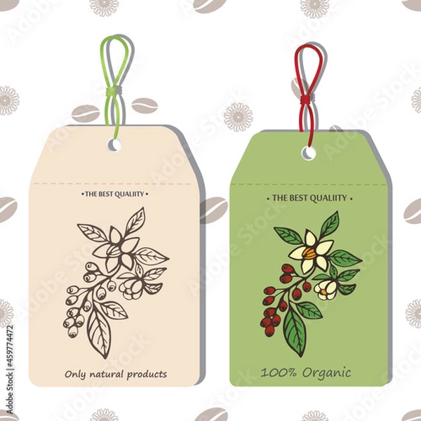 Obraz vector graphic label templates with coffee plants 1