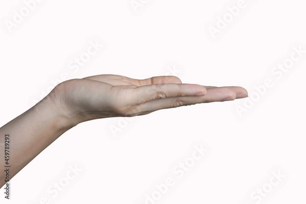 Fototapeta Close-up Of Human Hand presenting on white background with clipping path.