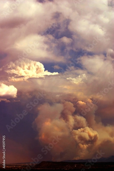 Fototapeta Forest Fire