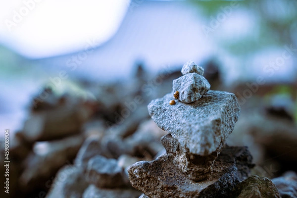 Obraz 한국 사찰 소원탑 무당벌레