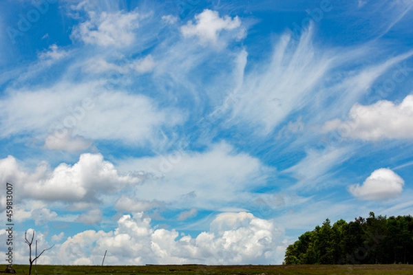 Fototapeta blue sky background with tiny clouds.