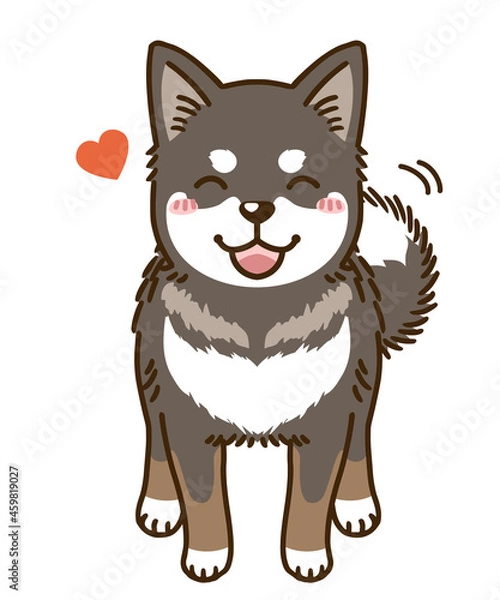 Fototapeta 懐く四国犬