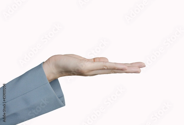 Fototapeta Close-up Of Human Hand presenting on white background with clipping path.