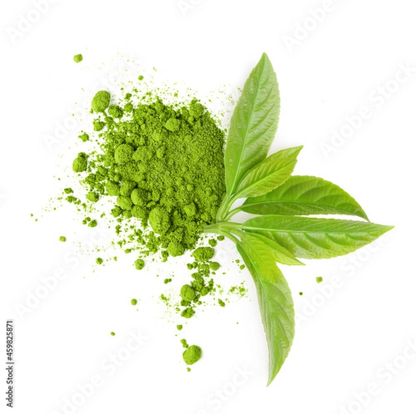 Obraz Tea matcha powder and green leaves isolated on white