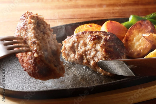 Obraz ハンバーグイメージ