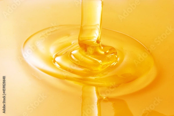 Obraz 蜂蜜イメージ