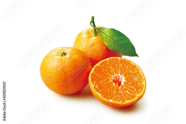 Fototapeta 温州みかん