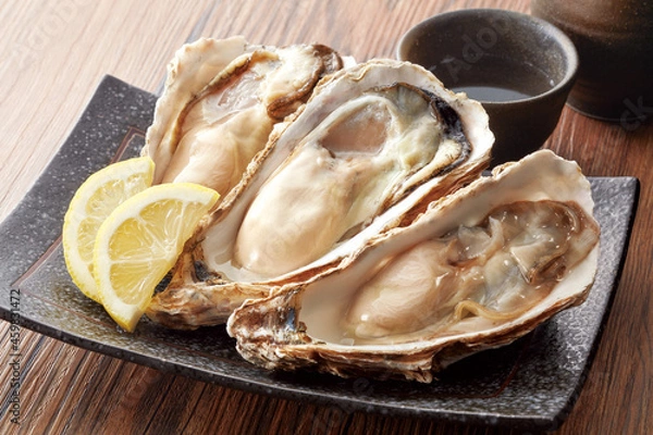 Obraz 生牡蠣イメージ