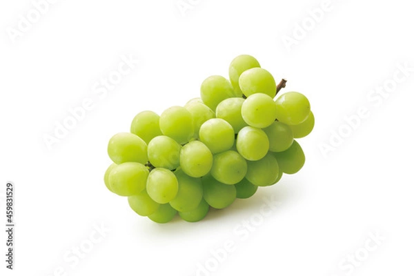 Obraz 白ぶどう
