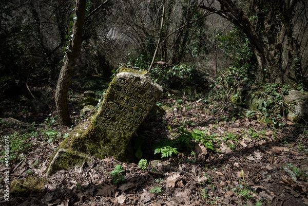 Obraz A leaning mossy gravestone in an ancient cemetery in the spring forest.