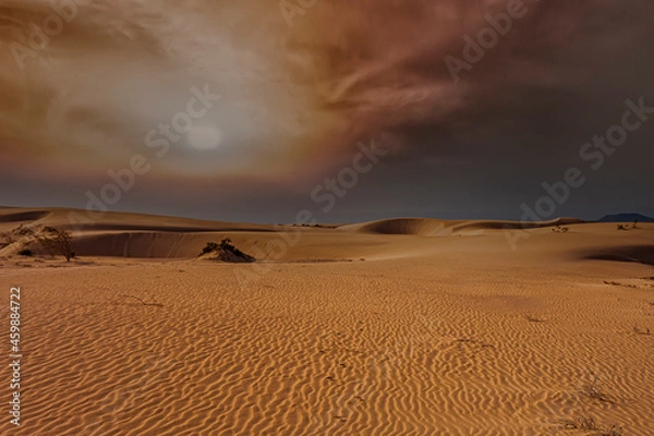 Obraz Beautiful sand patterns with  low sun in the natural park in Corralejo on the enchanting island of Fuerteventura in the Canary Islands Spain