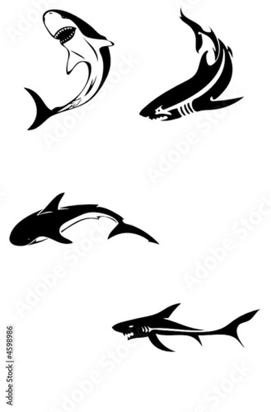 Fototapeta shark vector tatoo