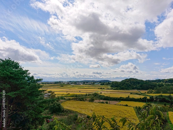 Fototapeta landscape with clouds