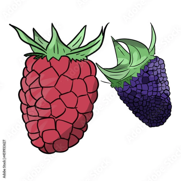 Obraz Raspberry and blackberry