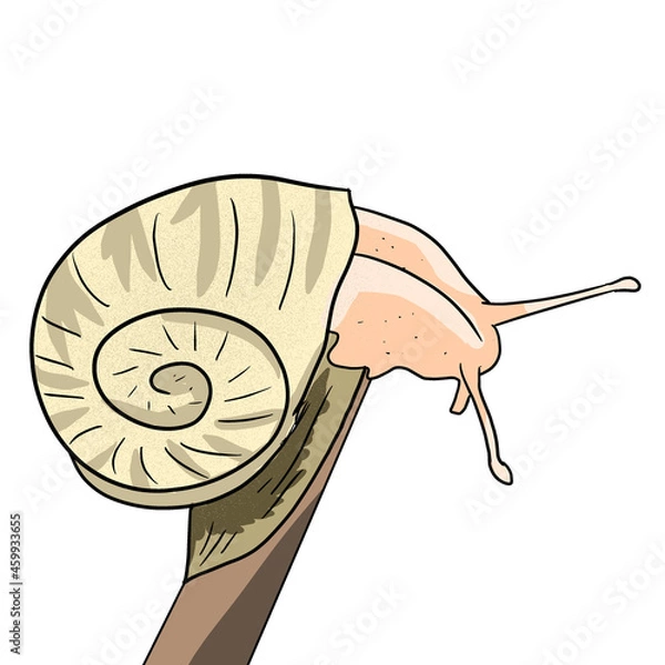 Obraz Snail on a stick