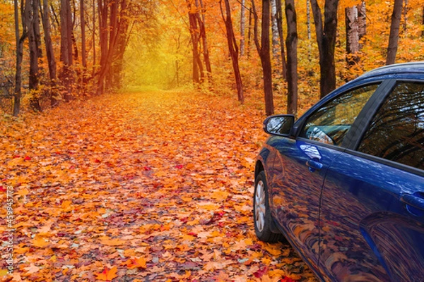Fototapeta a blue car on an autumn road in the park, a tire on leaves, a travel concept