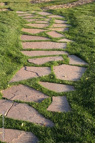 Obraz Flagstone path in grass